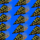 29674001202926300772579655912049851661852898953370146720103169258597224808449