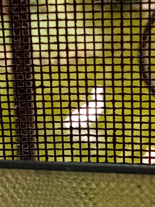 Item #91419314110800337009204889244420491545842303505927805999053350495517650552480 Media