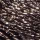 110563264937173630415102547684714144673786021135482478862181301891111696990209
