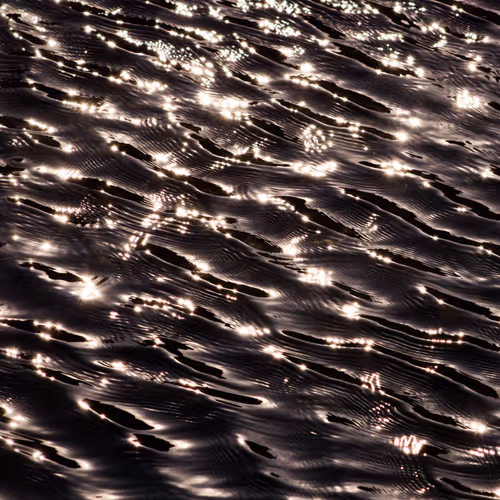 Item #110563264937173630415102547684714144673786021135482478862181301891111696990209 Media