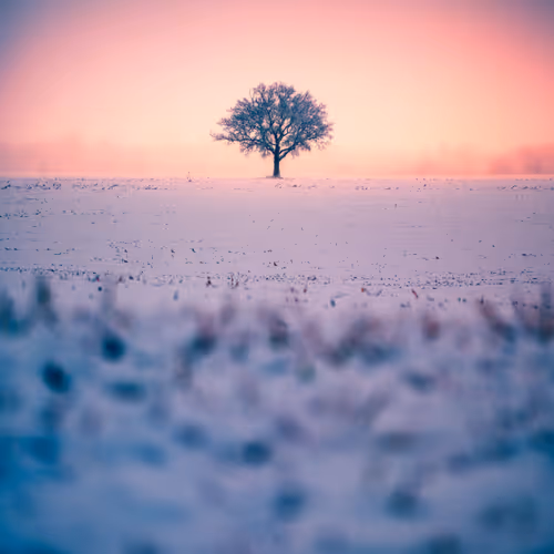 Seasonal Old