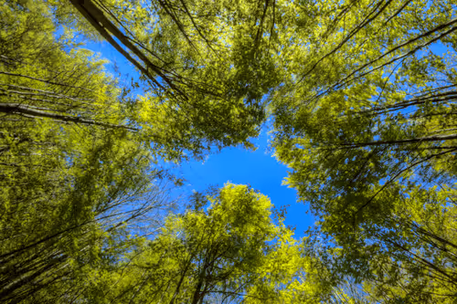 Item #6505089431552554568137386774614394979265528746054988378978093561013520564225 Media