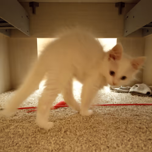 Item #763224073280193224173041358155125596503139434424356380946212158561109147649 Media