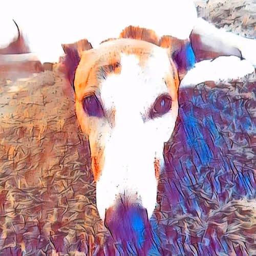 113233535435930126246803406212525192330824104616936385021501681213307153809409