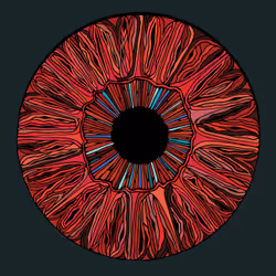 28824502245252267217549902857601847351510039266873569823091148536162365210625