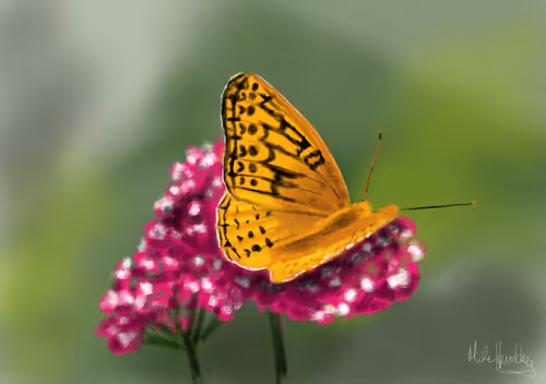 Item #39421720859211354598059957797071189726995094898407091321274451942972210544641 Media