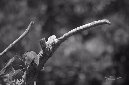 Item #100748379412919059267110879785057129888508222288536348751201759396366804582401 Media