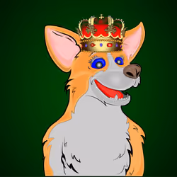 Corgo #47