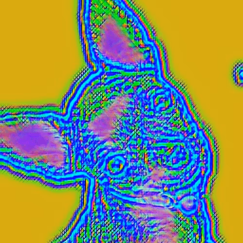 Cookie mi amiga bonita