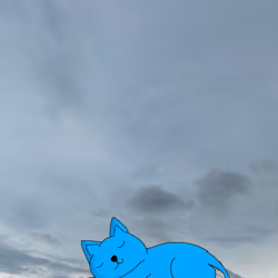 sleep cat # 13