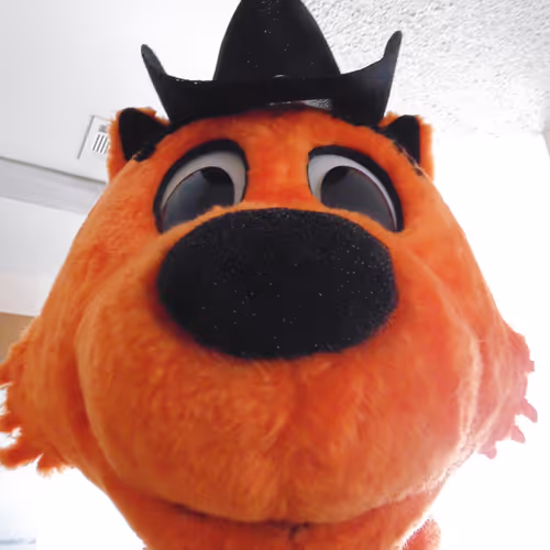 Coolcatnfts