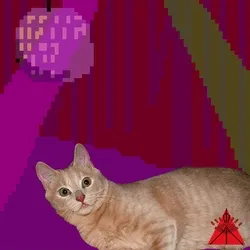 Dumb Stray Cats - #7