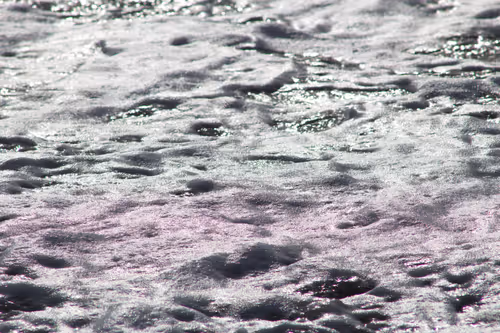 Item #110563264937173630415102547684714144673786021135482478862181301880116580712449 Media