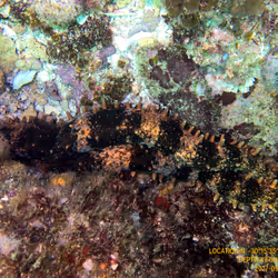 80965803268169370603932631570667161375508893671094224909166964171092900446209