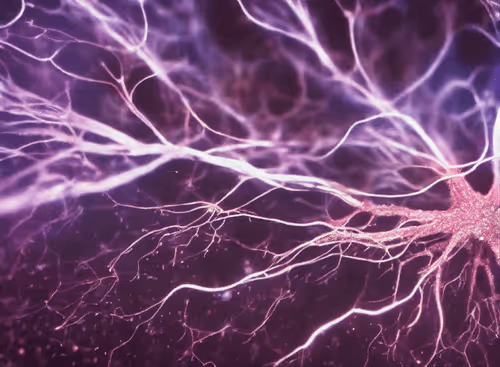 Item #98695163844141812296559601516468632585703412525772017875852753330831624241153 Media