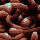 27503509333826798605578662873819051548085422433738143820427271872077113589761