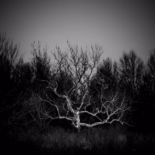 Item #75959814784190793324708169911984379127395736312846048783770068505259770118145 Media