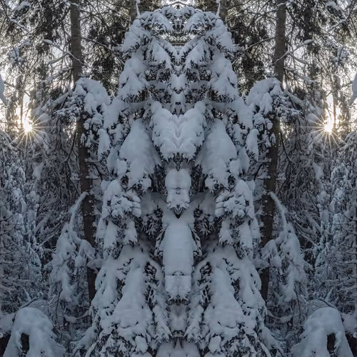Landscape Mirrors