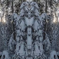 Mirror 39