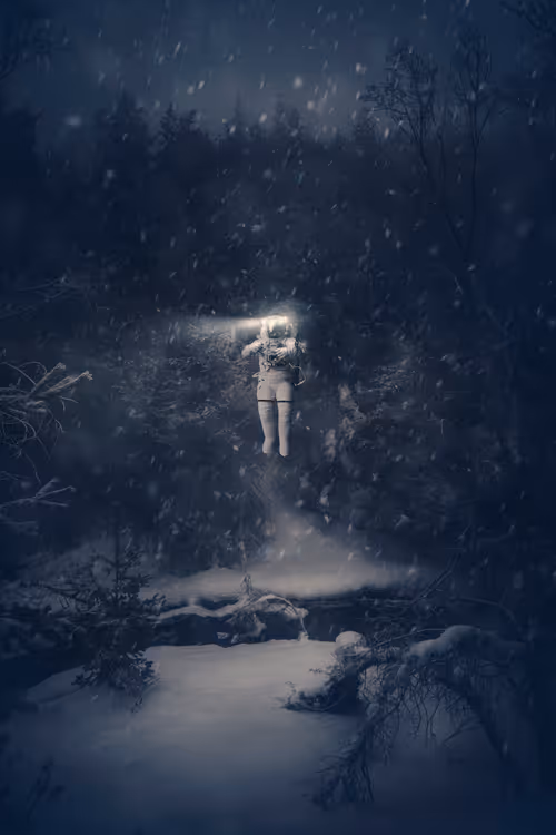 Item #29511697845116579399925011661064445951476116683601584807484795276494293172225 Media