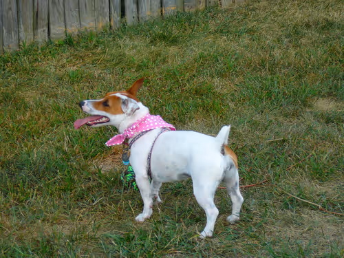 Item #5985210497355107417265215381210579199842884272282595265964883373727051415553 Media