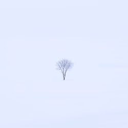 Alone