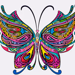 mandButterfly