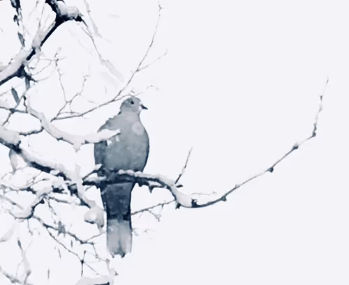 Item #106840752215848522448239535784232260256900731214271757322305935037115205156865 Media