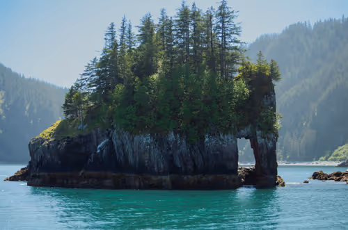 Item #83625231168864970045539605410069256261495624931970233410894617905681517248513 Media