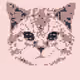 86515702388564116946842246269008357505544892692160175811460688256104856027137