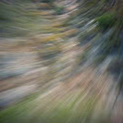 38495668349306452240688866721683925223246116077147746545727998326059699273828