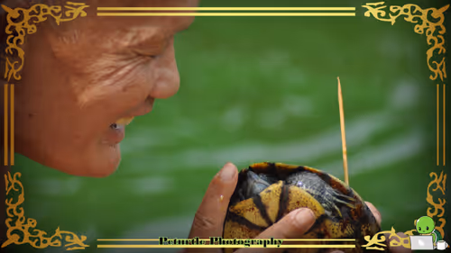 Item #63688176006920298669738405398310368792609774011425620877012058006645727297537 Media