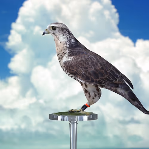 5362693153686757663037229957776630052012240176014263673100968360795317469185