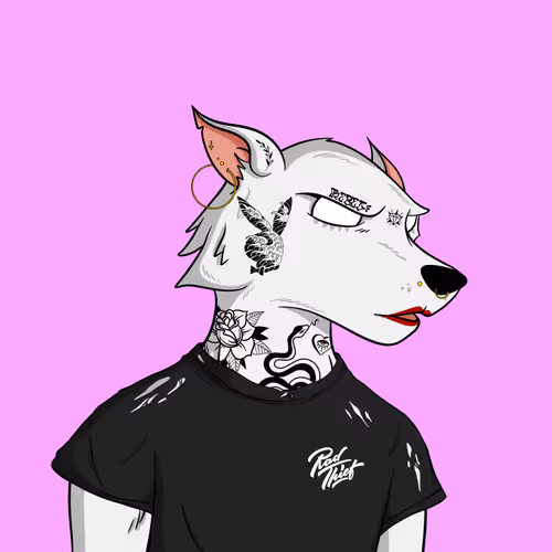 Item #100649636822678429383389138442759674827422989224865057756325533084367036874753 Media