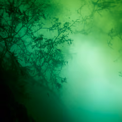Dispersed Textures