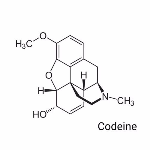 Item #64732396481221425237779336604136247156647002150051219445300180837035642191873 Media