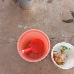 gfgd