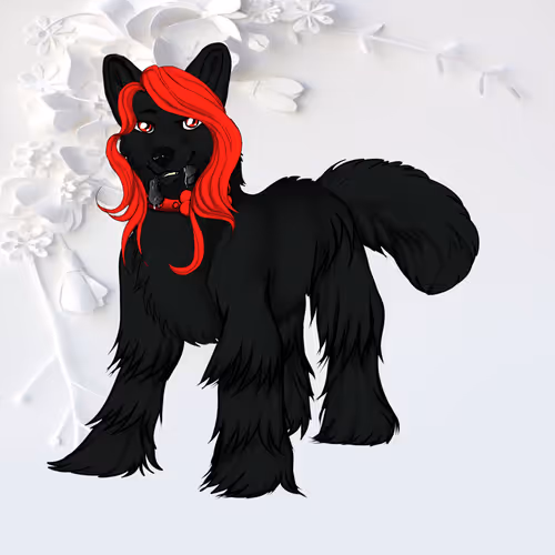 Item #108498455105753859061667588137397068794771898515647550615836857446440116520608 Media