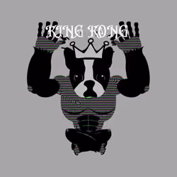KING KONG #5