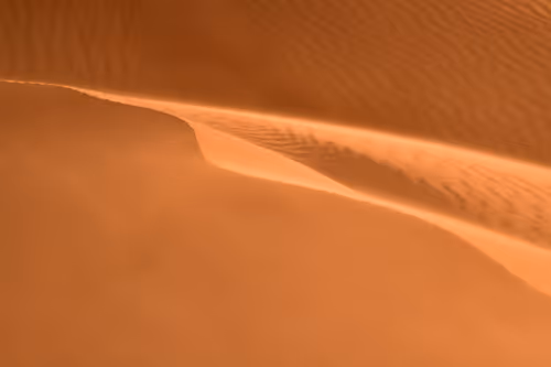 Item #115116381853273793798262654553292363121692474521288731345033058955944133656577 Media