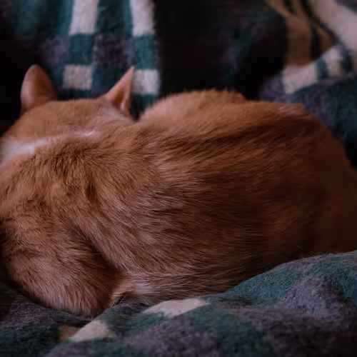 105475816949175725597838668609224528502922702307421382918206128515508055572481