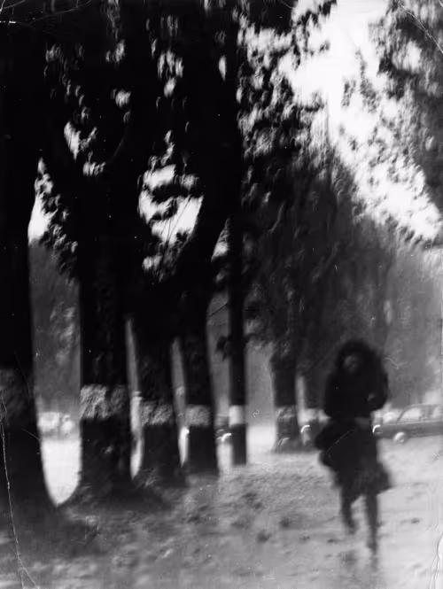 Item #59507878336637611732585409671604655627139153011100117949866932340924319006721 Media