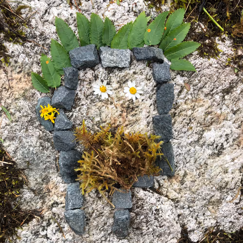 98107617753721193587173935520703534334244090805083319737588344729311652085761