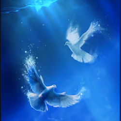 Doves