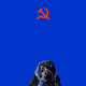 27795365048516075002028144430920622883768644754705707601832660796598231498753