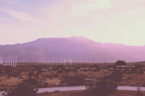 Now4TheRip Collection