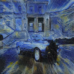 A Starry Night Dream