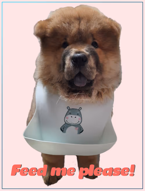 Item #103606411814514267144441239329390381368364317226309774540220525437173236760577 Media