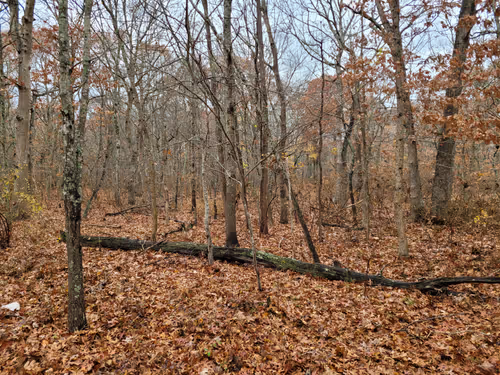 Item #34085441569699423005310991372941828806155687762378495952169943191178755178497 Media