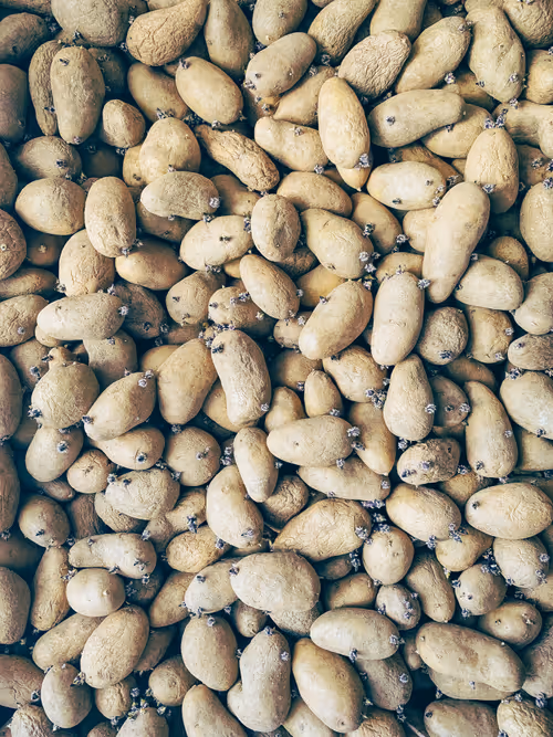 Item #111977386130050796664290511060625431169000262248386498936055316990499611475969 Media